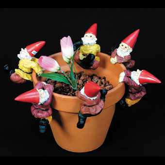 Gnomes - Large