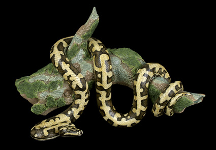 Hanging Python
