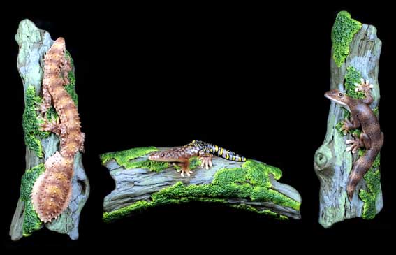 Gecko Wall Hangers