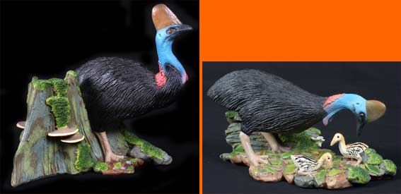 Cassowary Birds