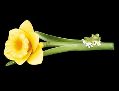 Daffodil with Frog