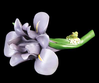 Dutch Iris with Frog