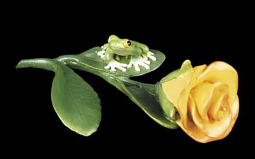 Rose with Frog