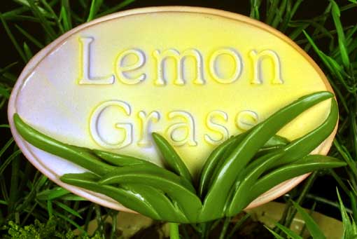 Herb Stake - Lemon Grass