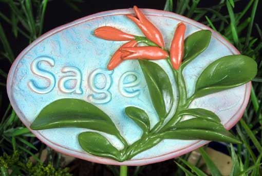 Herb Stake - Sage