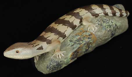 Blue Tongue Lizard