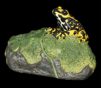 Corroboree Frog