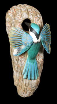 Kingfisher Hanging