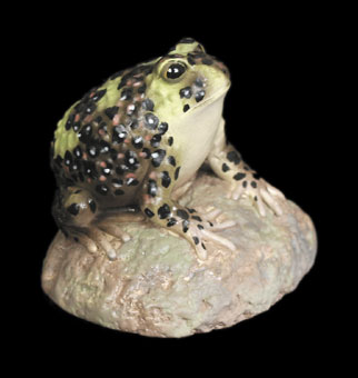 Crucifix Frog