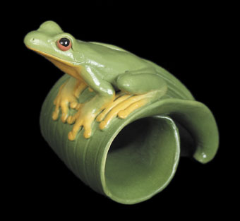 Red-Eyed Tree Frog