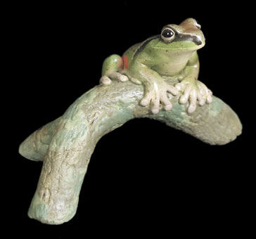 Blue Mountains Tree Frog