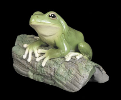 Green Tree Frog