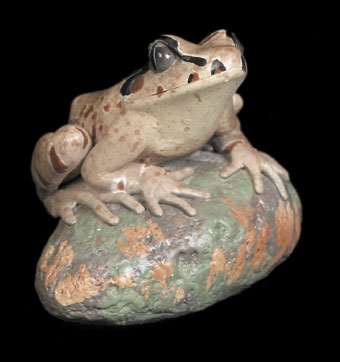 Great Barred Frog