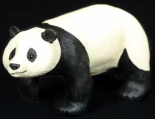 Panda Walking