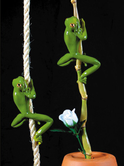 Frog on Rope