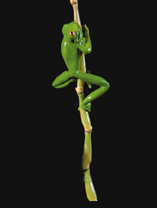 Frog on Rope
