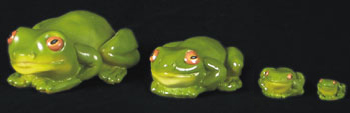Green Tree Frog Set