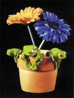 House Plant Pot Decorator, Green Tree Frog - Small