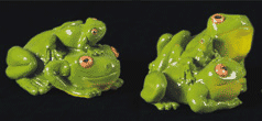 Green Tree Frog Set (6071, 72)