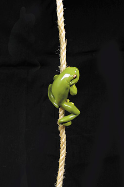 Frog on Rope