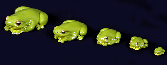 Green Tree Frogs