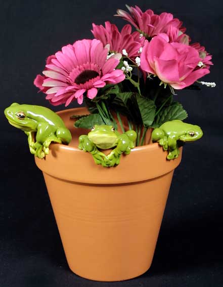 Green Tree Pot Frogs