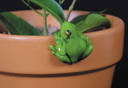 Frogs in Motion Teeny