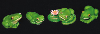White Lipped Frogs