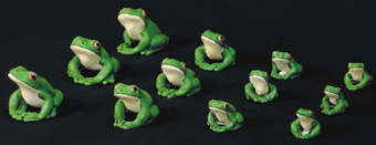 White Lipped Frogs