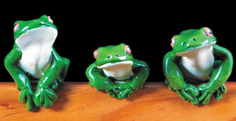 White Lipped Frog - Ledge. Set of 3