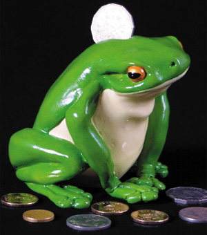 Money Box Frog