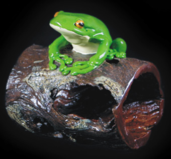 One Frog on a Log