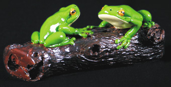 Two Frogs on a Log