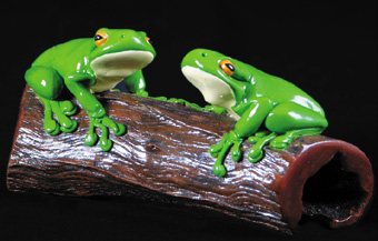 Two Frogs on a Log