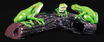 Three Frogs on a Log