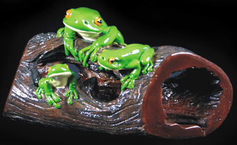 Three Frogs on a Log