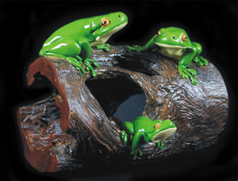 Three Frogs on a Log