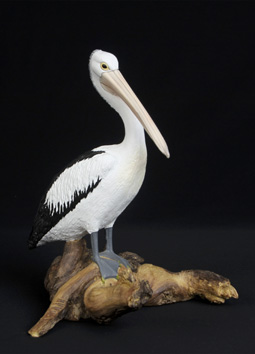 Pelican