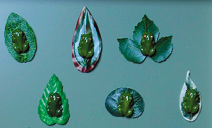 Frogs on Soft Leaves